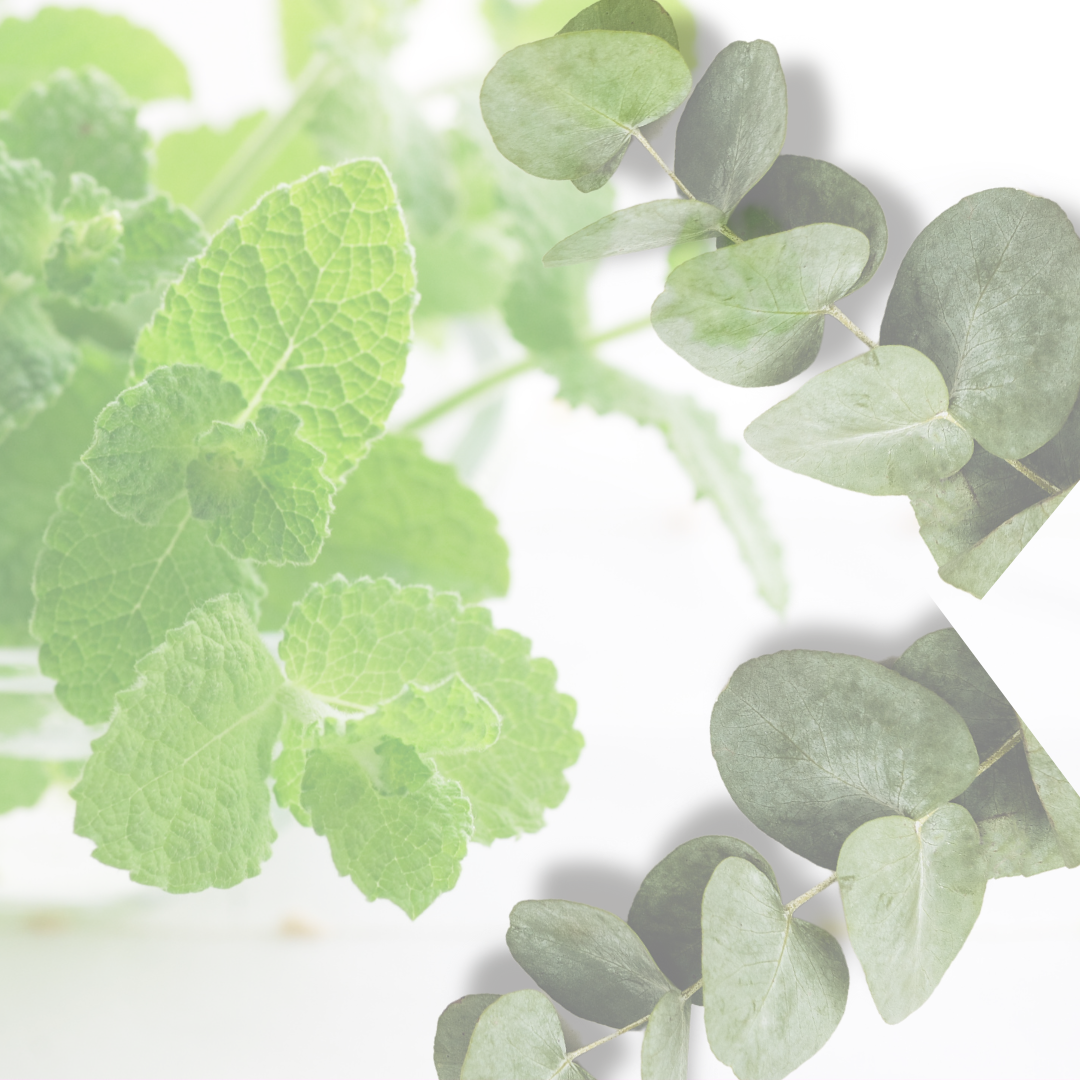 COMING SOON : Release - Body Butter