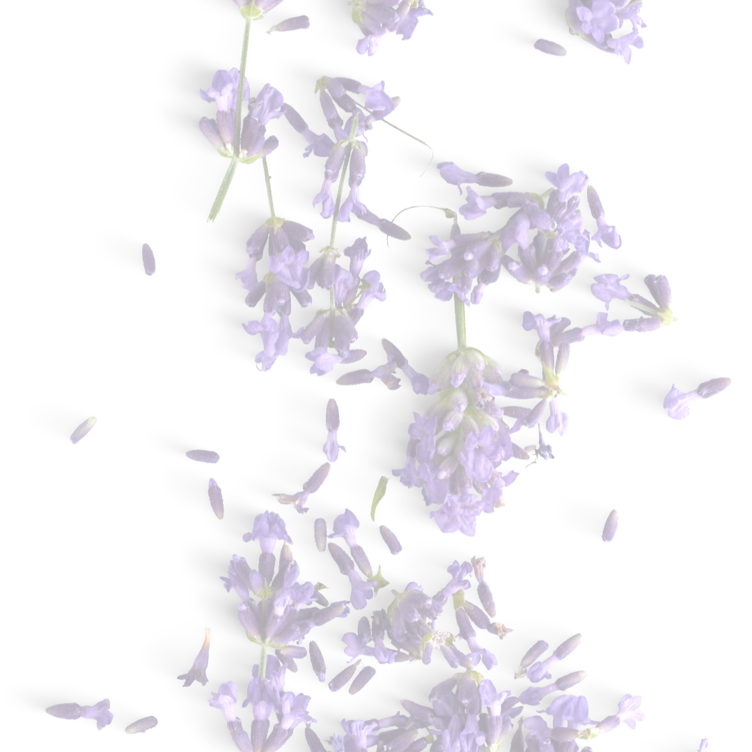 COMING SOON : Rest - Body Butter