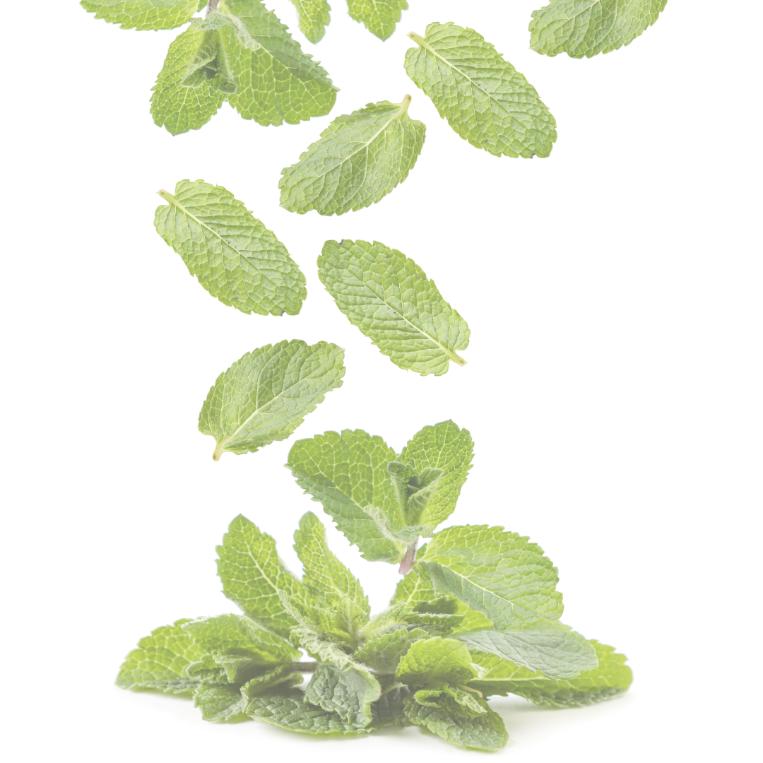 COMING SOON : Exhale - Body Butter